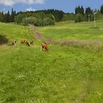 6 Person In Nordli-by Traum Nyaraló