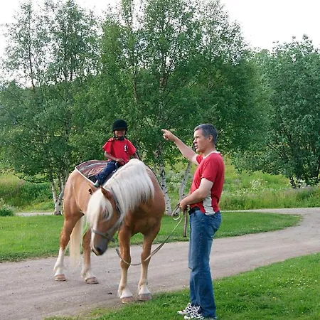 6 Person In Nordli Semesterbostad Holand