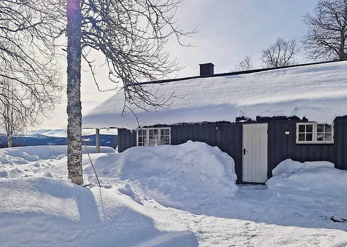 6 Person In Nordli-by Traum * Holand (Lierne, Trondelag)