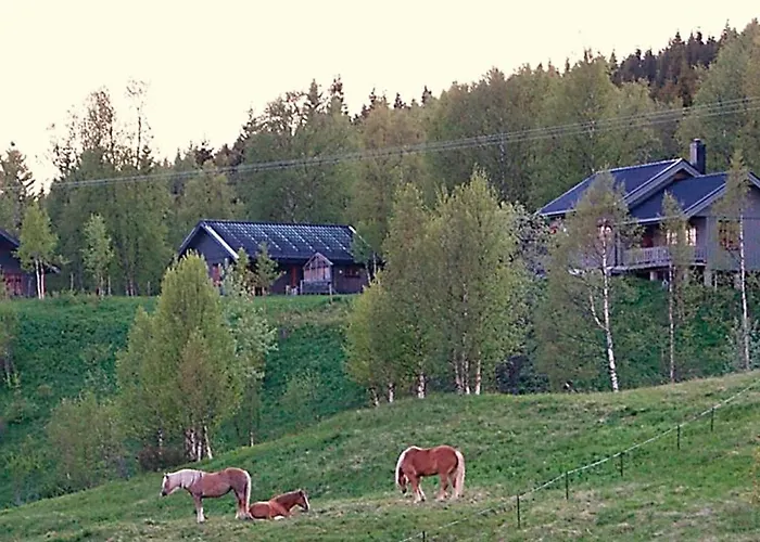 度假居 6 Person In Nordli-by Traum