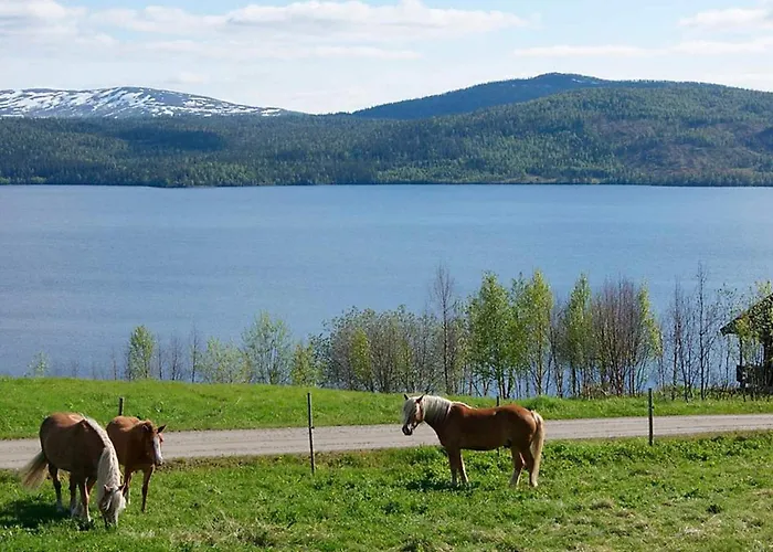 度假居 6 Person In Nordli-by Traum *