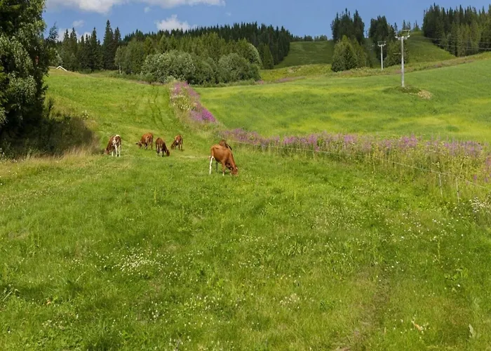 6 Person In Nordli-by Traum Hébergement de vacances