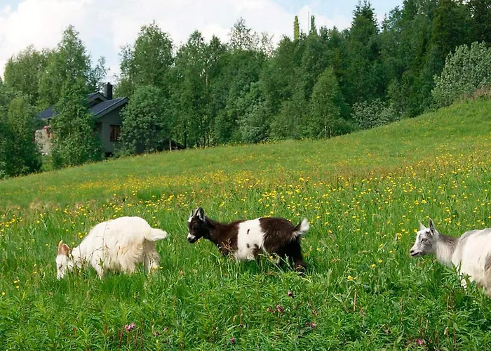 6 Person Holiday Home In Nordli-By Traum Holiday home Holand (Lierne, Trondelag)